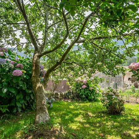 Casa Honorato En La Montana Шале Санта-Эулалия-дель-Рио
